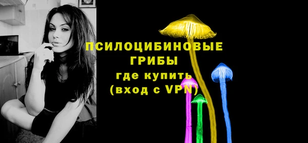 дурь Медвежьегорск