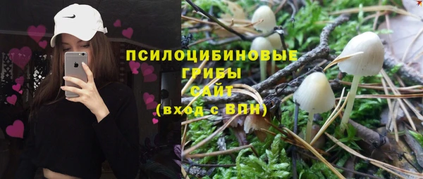 дурь Медвежьегорск