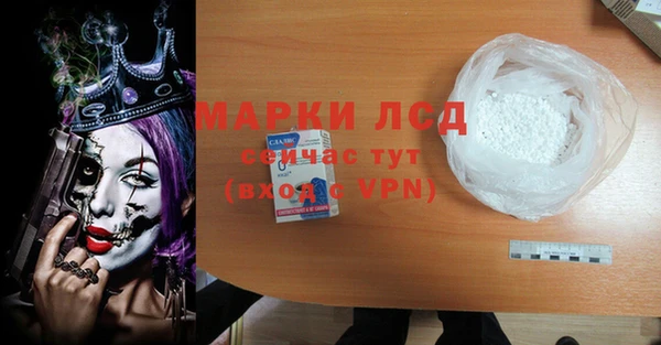 крисы Мегион