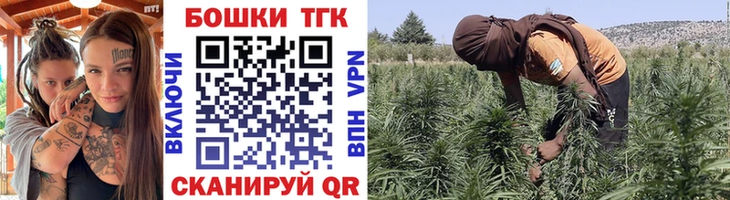 где можно купить   Томмот  Канабис марихуана 